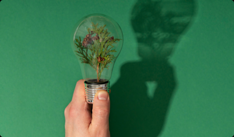 Innovation in Sustainability